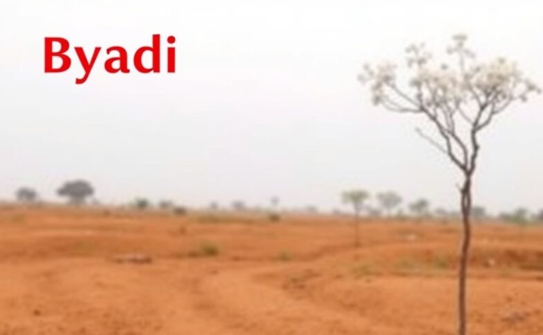 Byadi